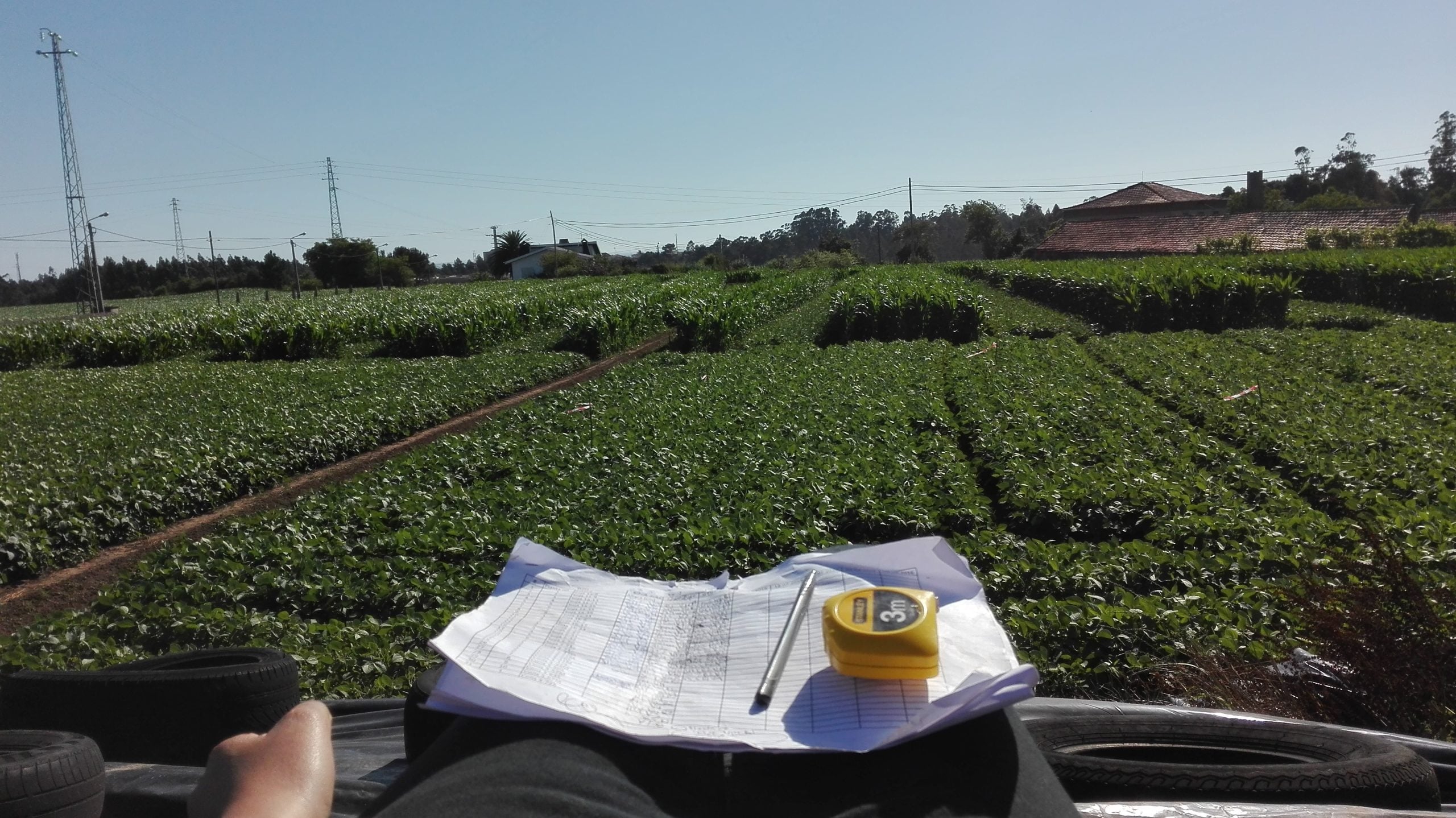 caderno de campo como fazer