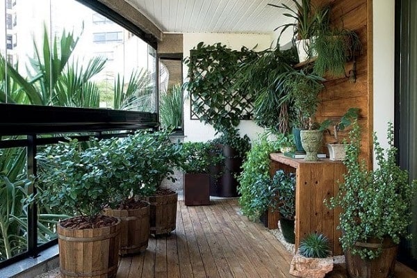 plantas de varanda e interior