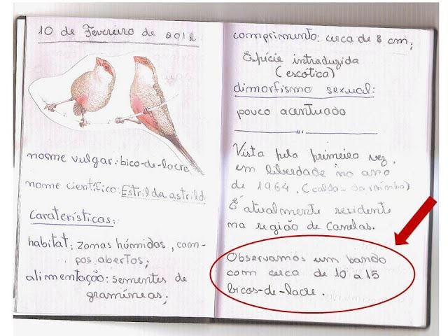 caderno de campo exemplo
