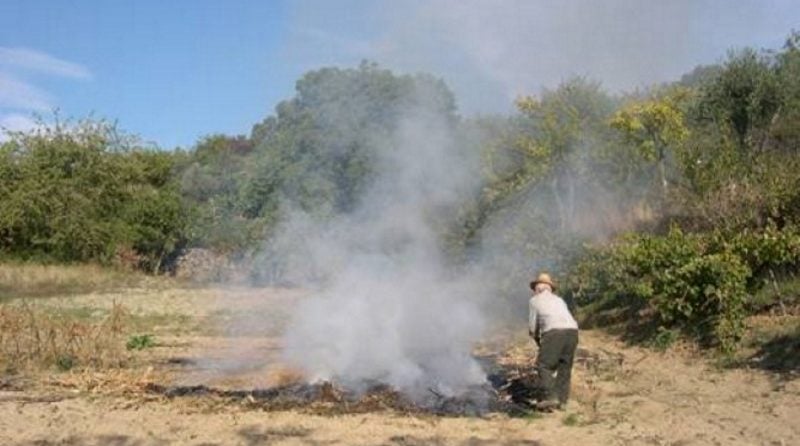 agricultura de conservação vantagens