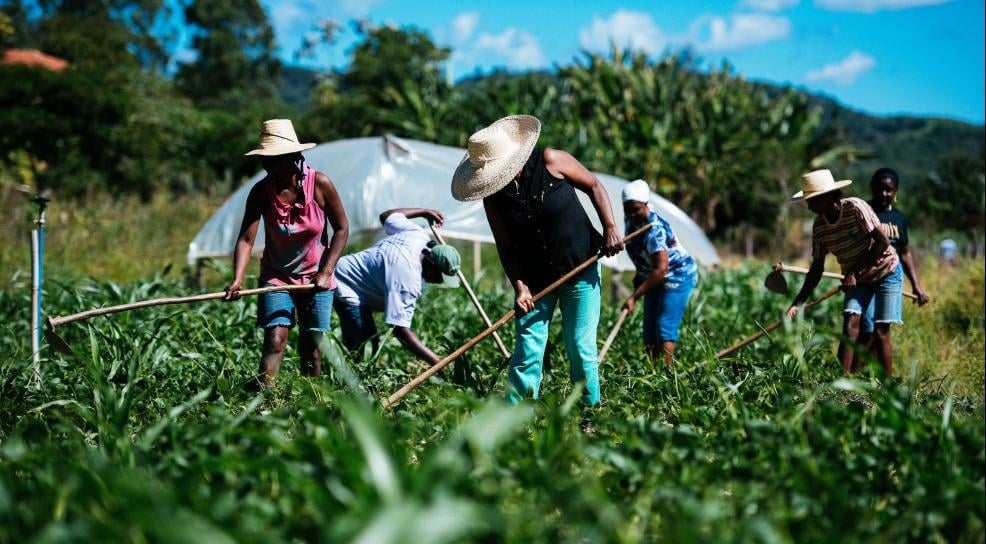 agricultura familiar conceito