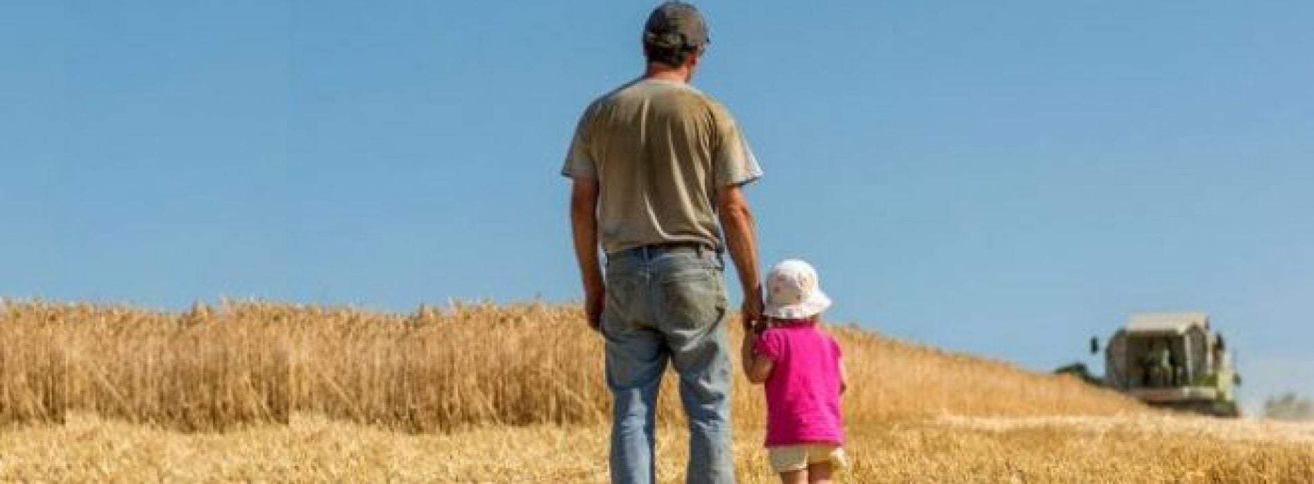 agricultura familiar artigo