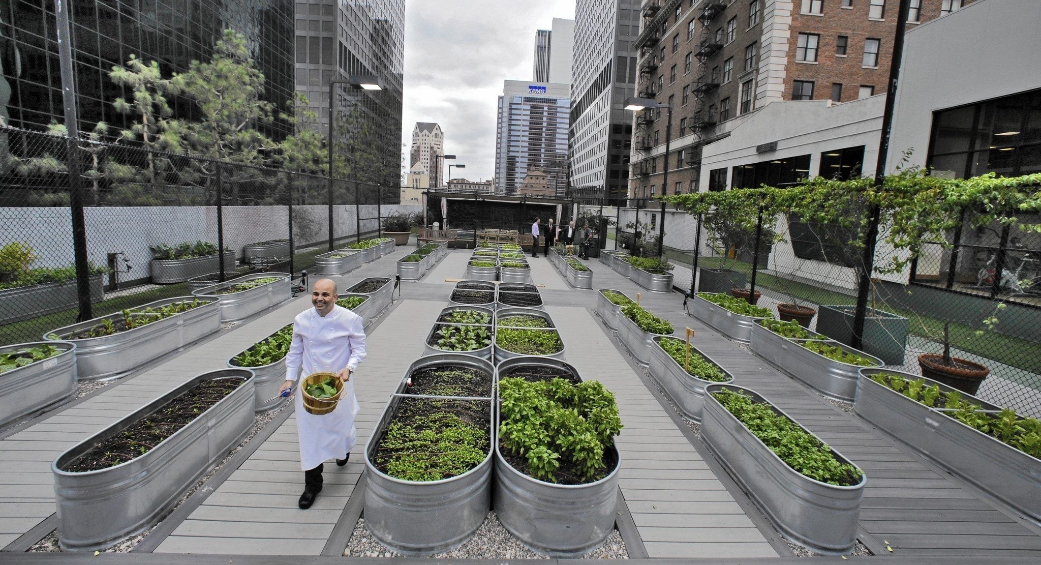 agricultura urbana