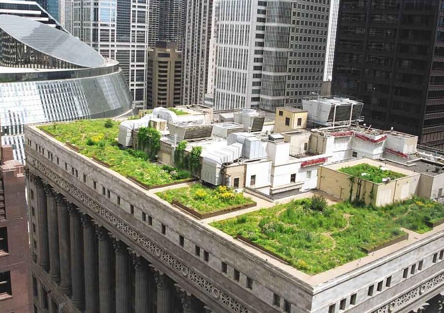 agricultura urbana e periurbana