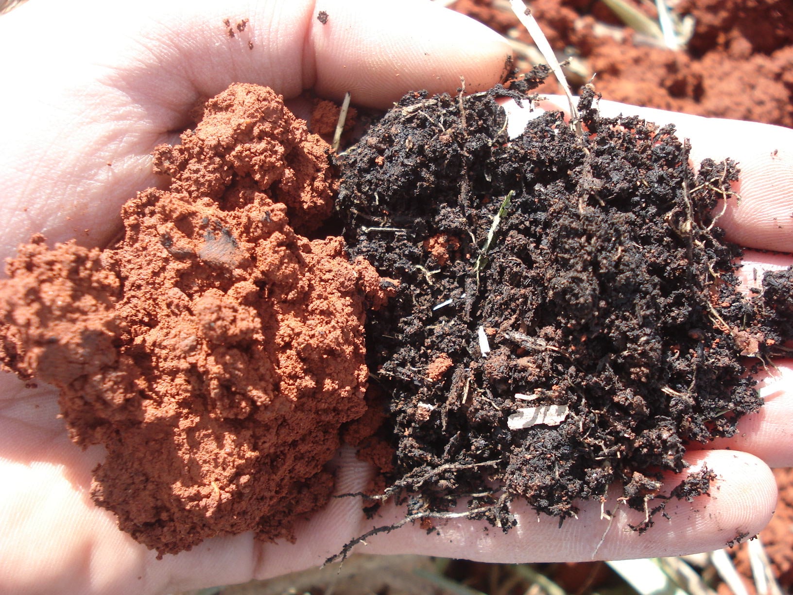 compactação do solo agricultura