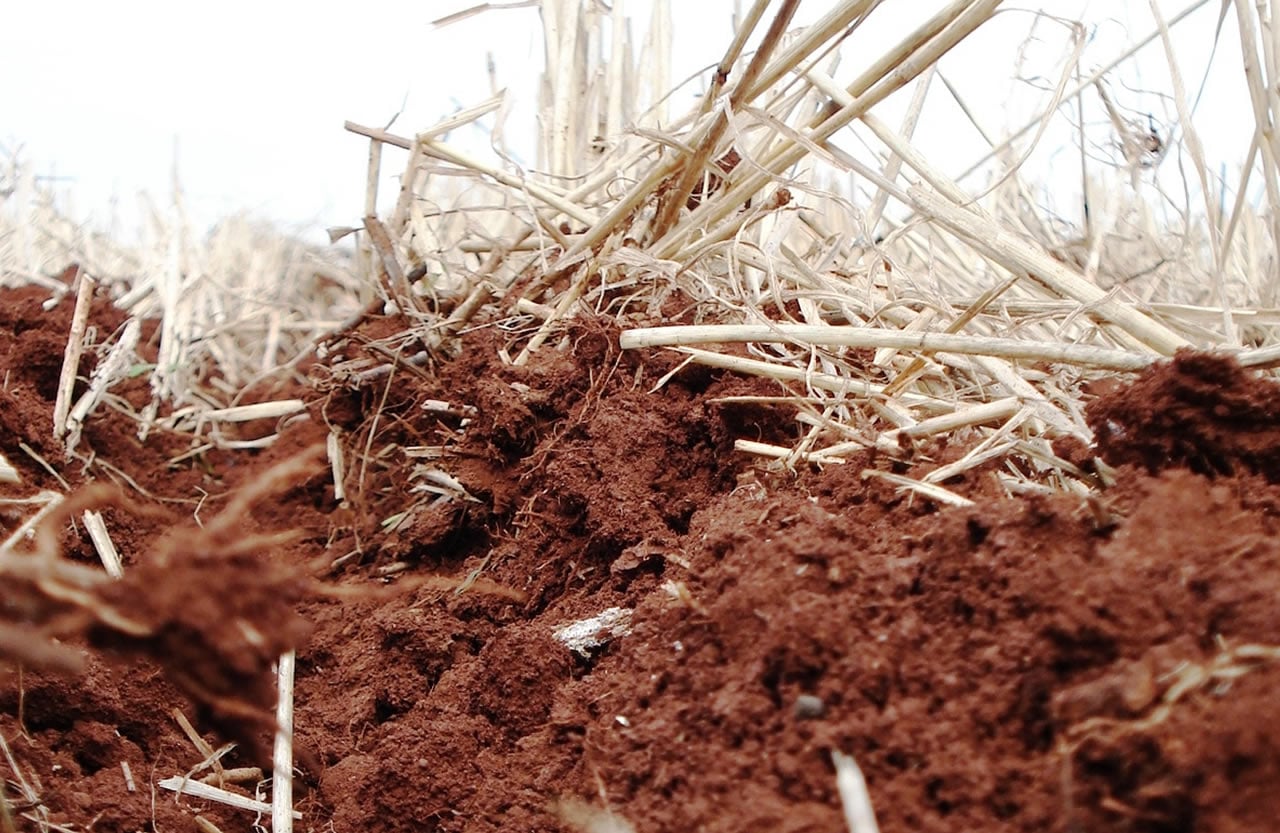 compactação do solo agricola artigos máquinas agrícolas