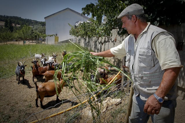 agricultura familiar portugal