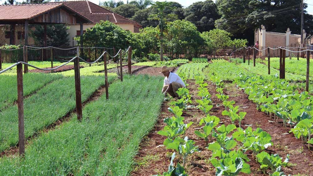 agricultura familiar pdf