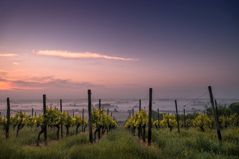 seminário alterações climáticas na agricultura desenvolvimento sustentável