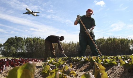 agricultura social o que é