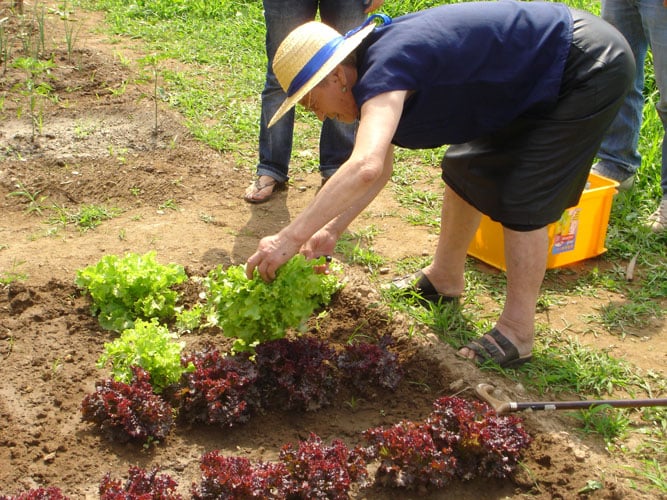agricultura social