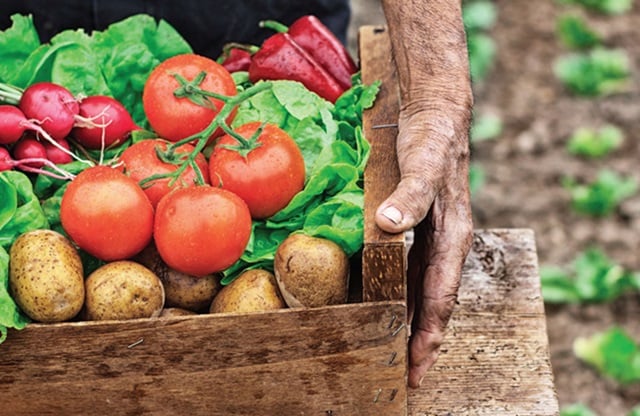 agricultura sustentavel slideshare