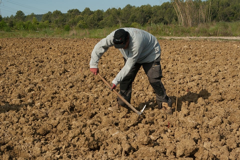 apoios jovem agricultor