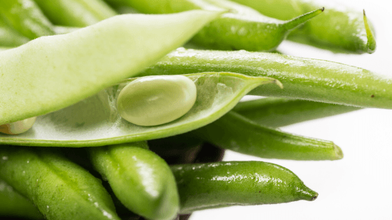 semear favas em que fase da lua